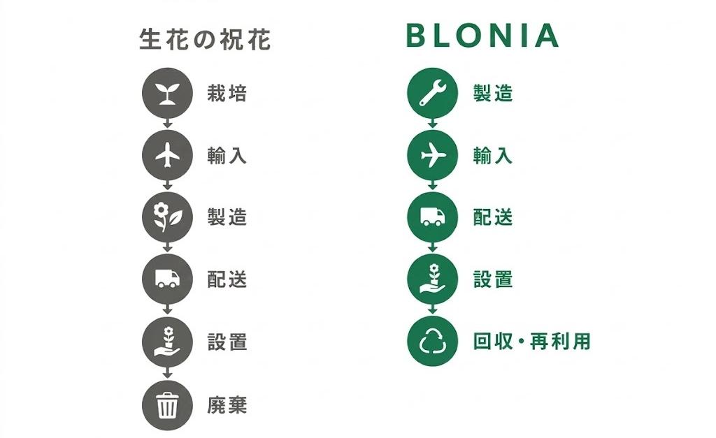 祝花のライフサイクル比較（生花とBLONIA）